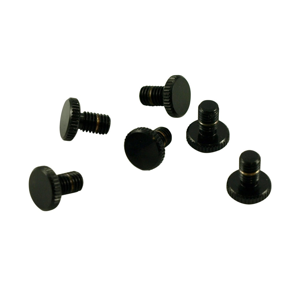 Floyd Rose Fine Tuning Screw