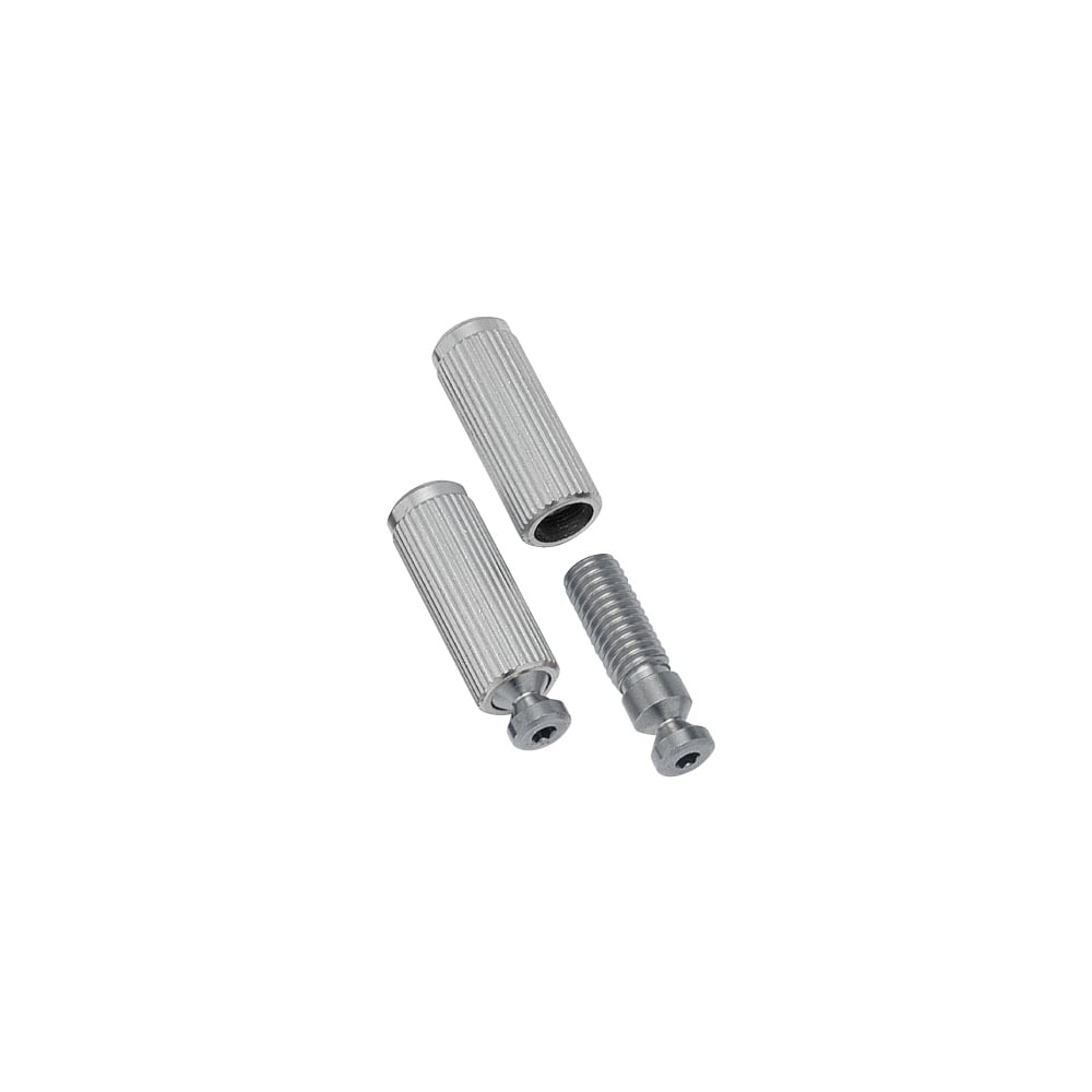 Gotoh GE1996 Floyd Rose Stud and Insert Set of 2