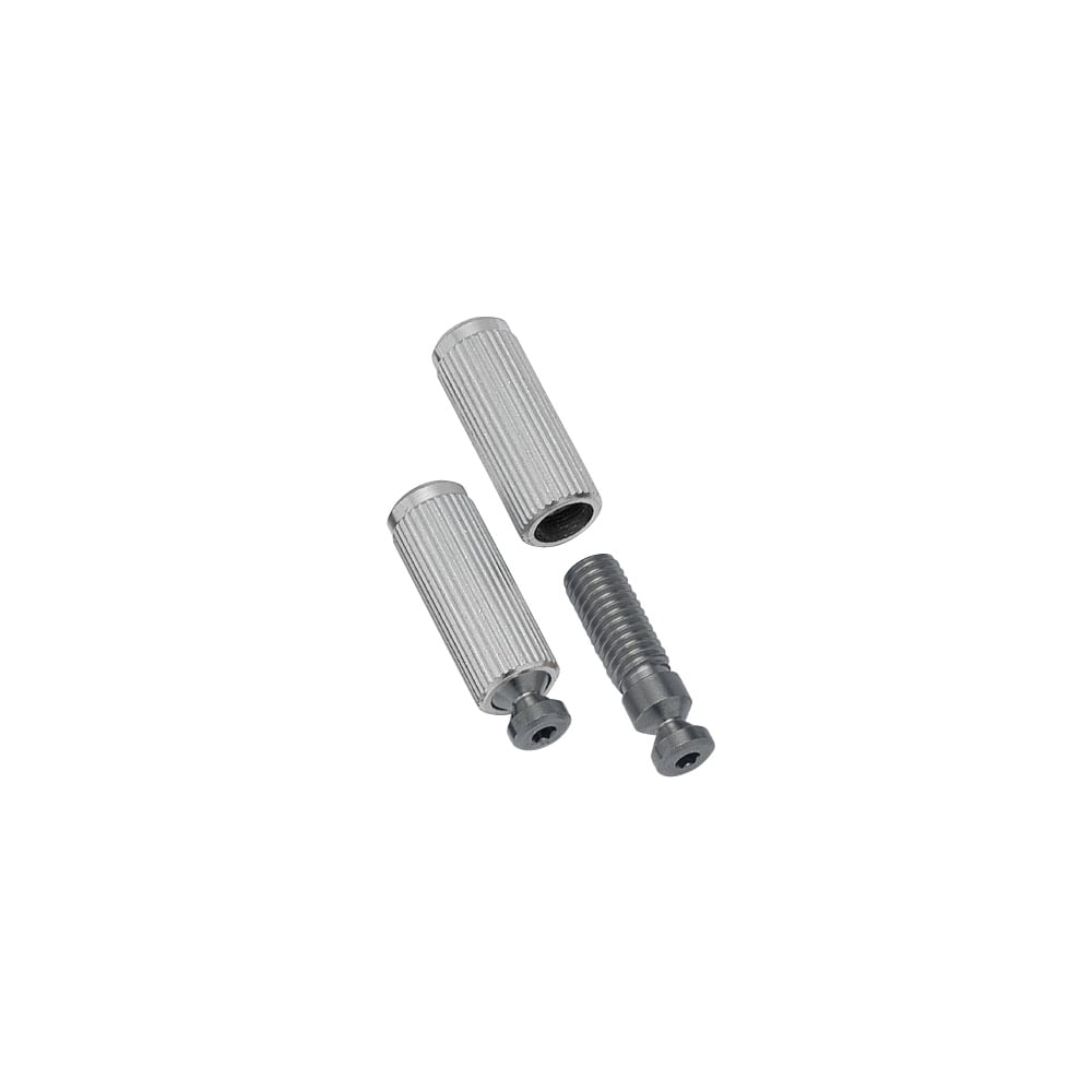 Gotoh GE1996 Floyd Rose Stud and Insert Set of 2