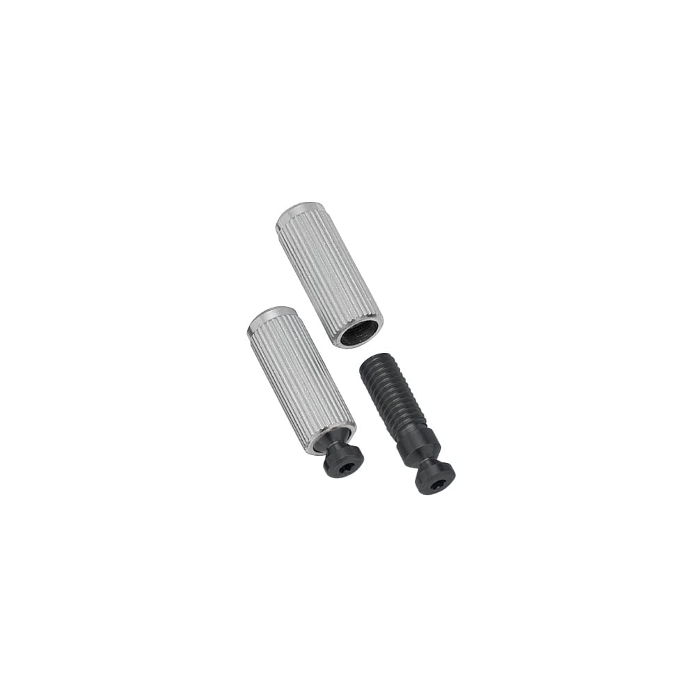 Gotoh GE1996 Floyd Rose Stud and Insert Set of 2