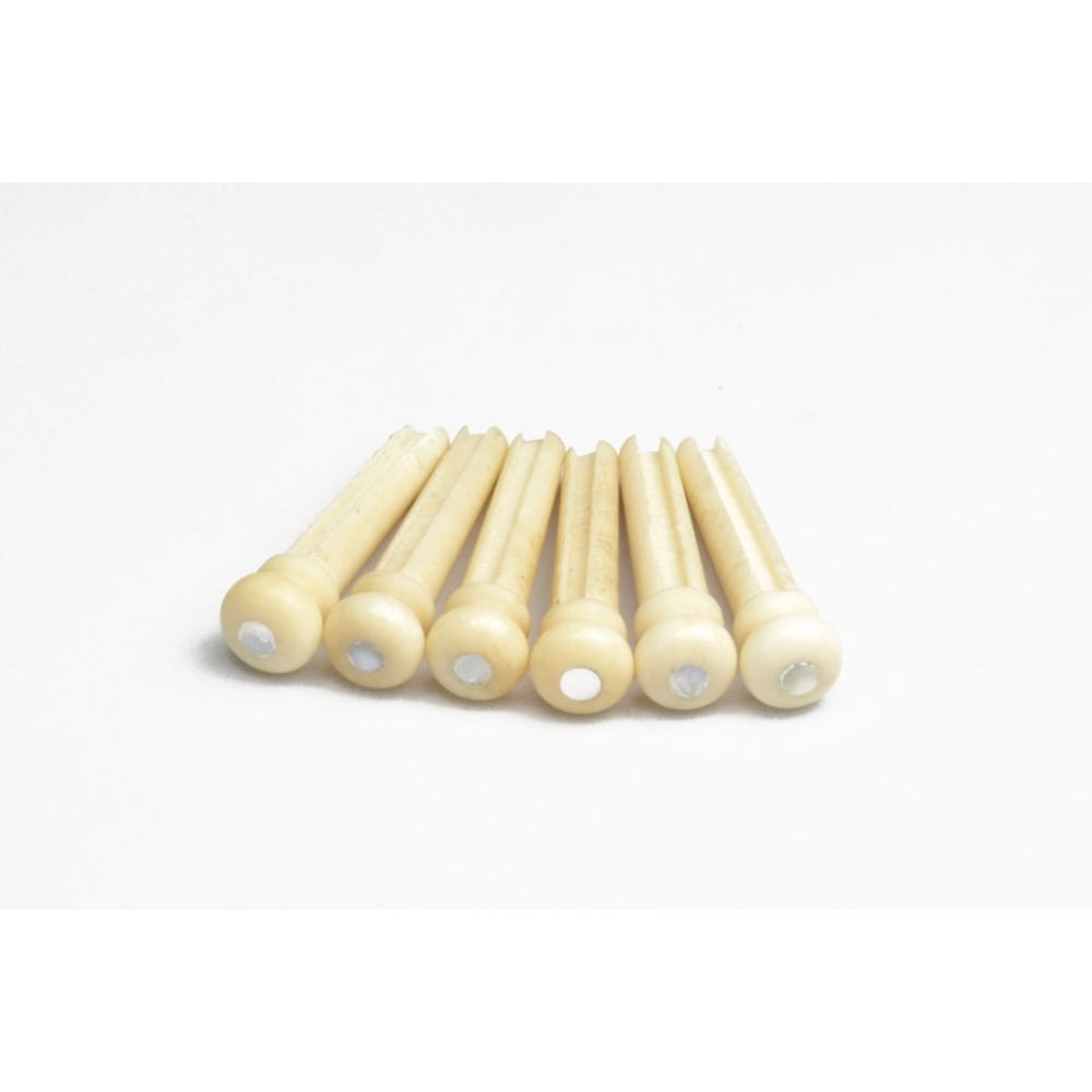 Hosco Cattle Bone Bridge Pins Set of 6 With Pearl Dot