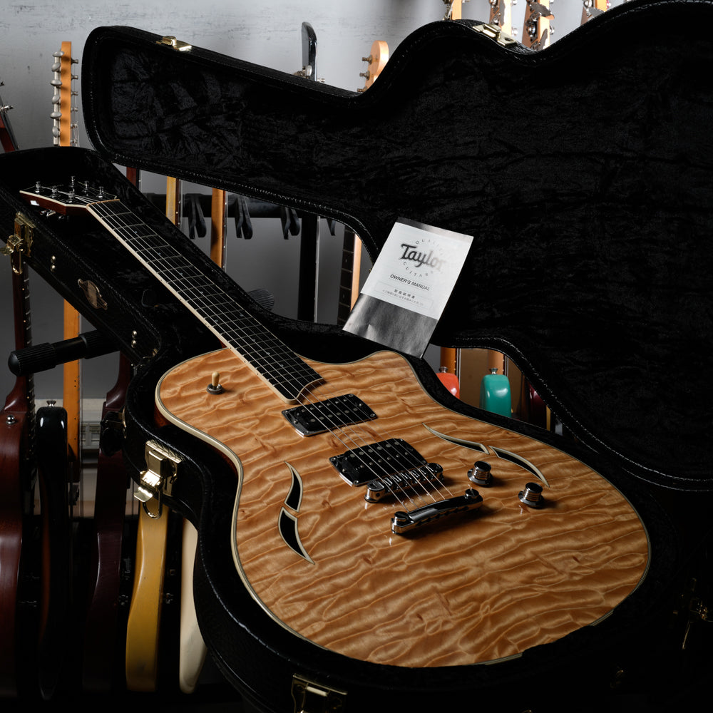 Taylor T3 2009 - Natural