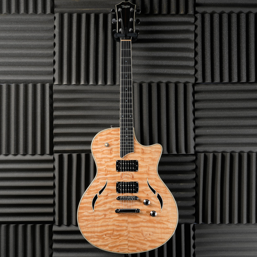 Taylor T3 2009 - Natural
