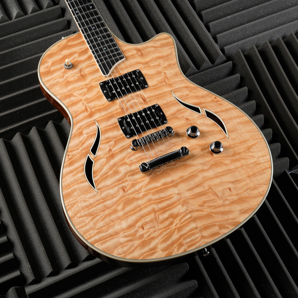 Taylor T3 2009 - Natural