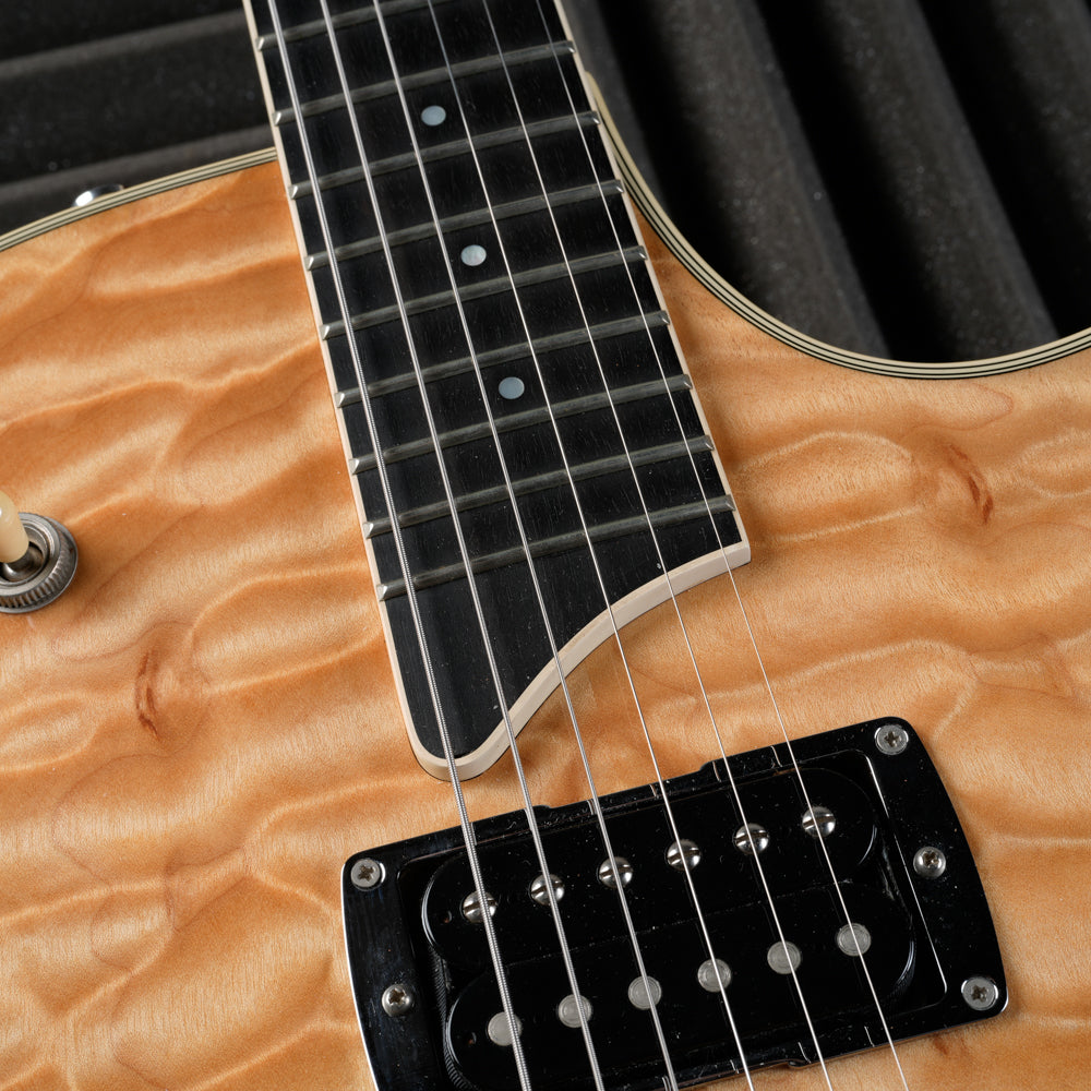 Taylor T3 2009 - Natural