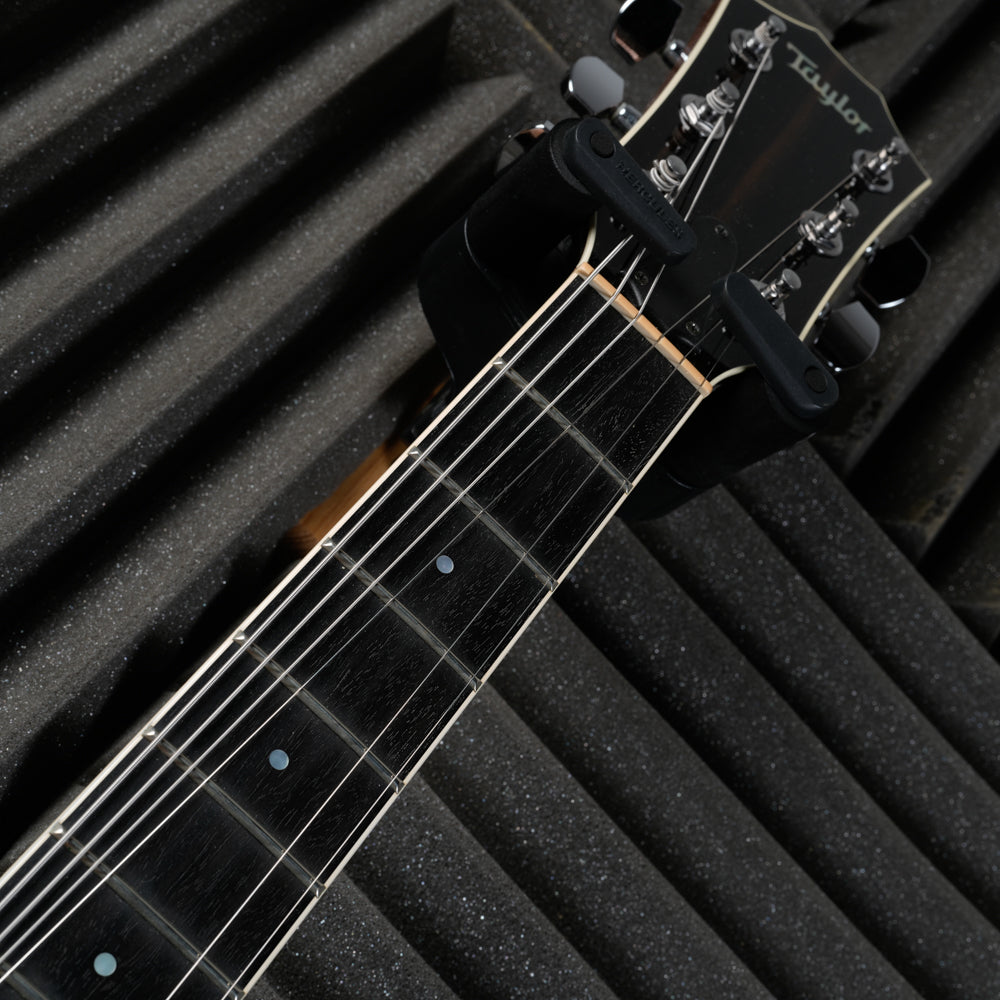 Taylor T3 2009 - Natural