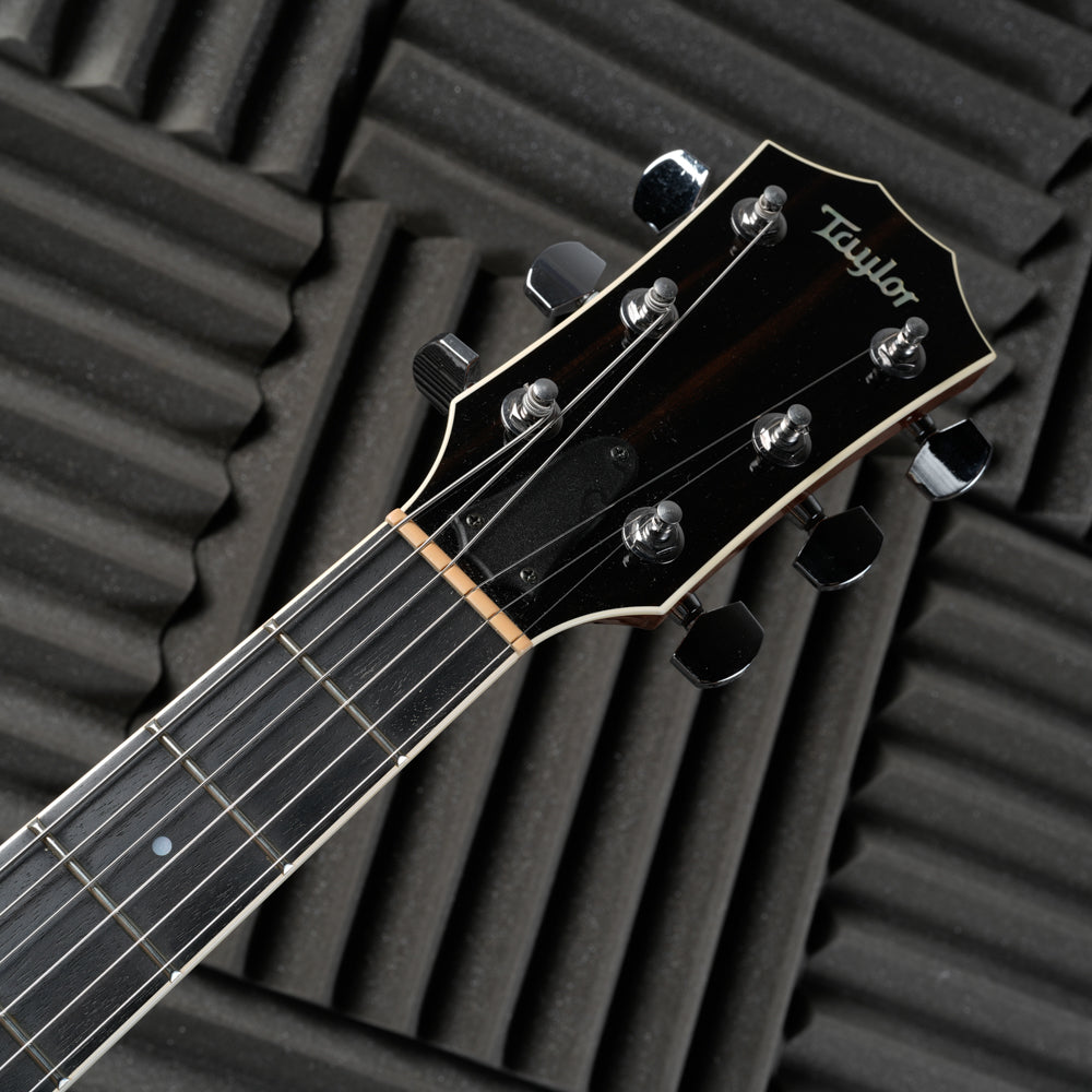Taylor T3 2009 - Natural