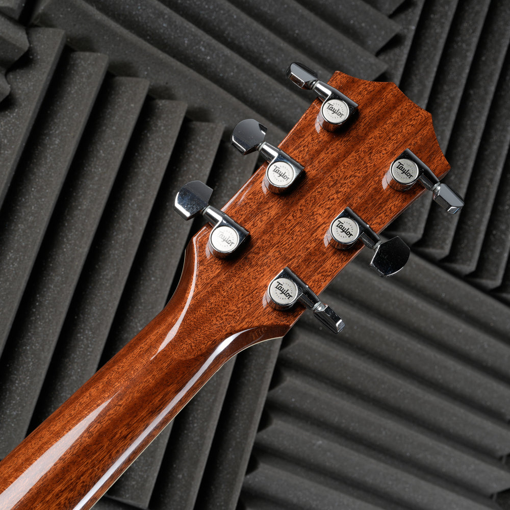 Taylor T3 2009 - Natural