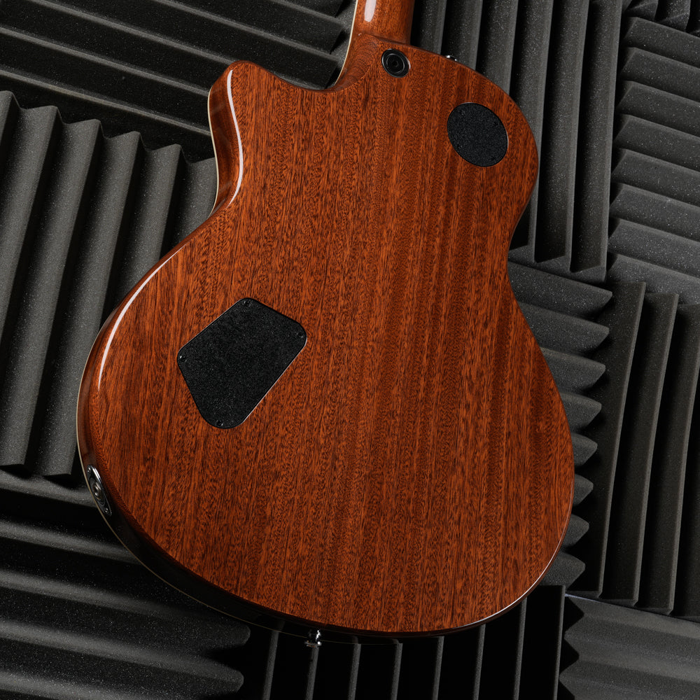 Taylor T3 2009 - Natural