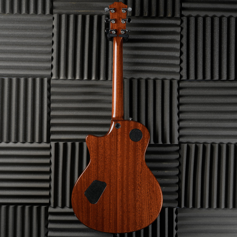 Taylor T3 2009 - Natural