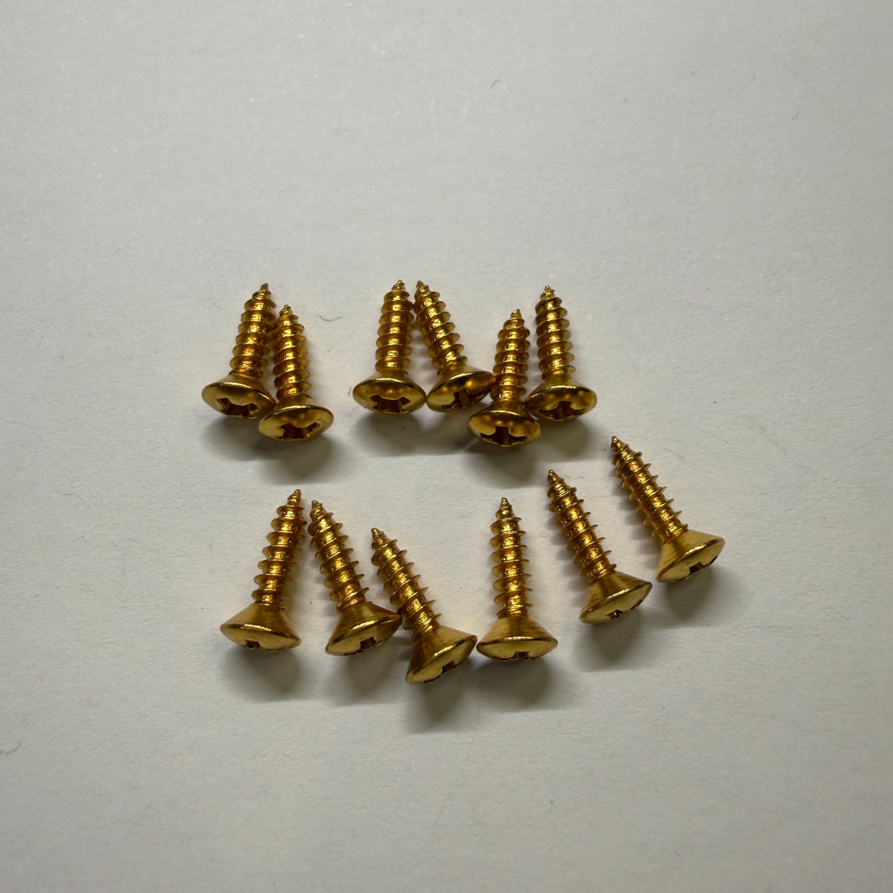 Guitar Pickguard Screw (12 pcs) Chrome / Gold / Black